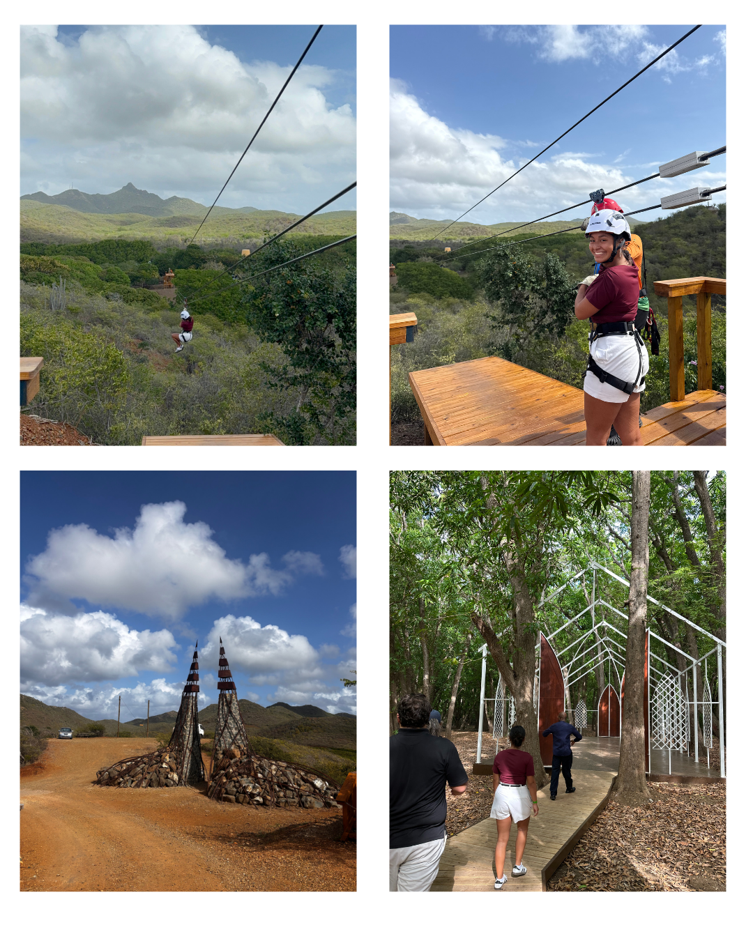 Zipline Hofi Mango Curaçao
